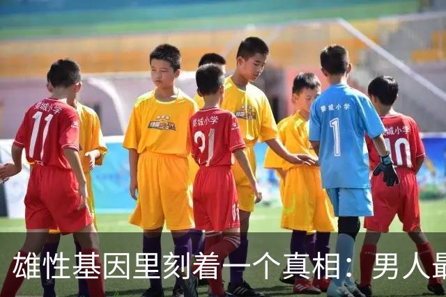 雄性基因里刻着一个真相：男人最想征服的，从来不是最漂亮的女人，而是那个让他觉得配得上、又忍不住想变得更好的女人